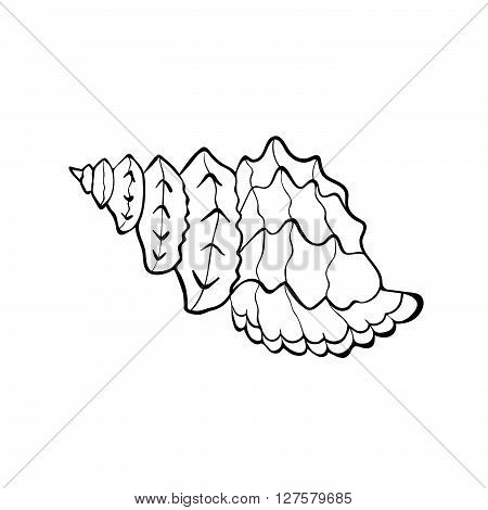 450x470 Hand Drawn Sea Shell. Shellfish Vector Amp Photo Bigstock