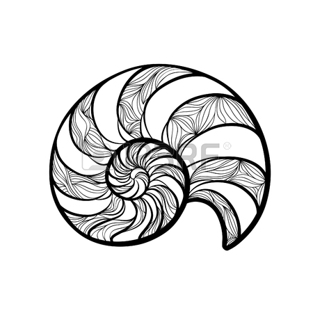 Seashell Line Drawing at GetDrawings | Free download