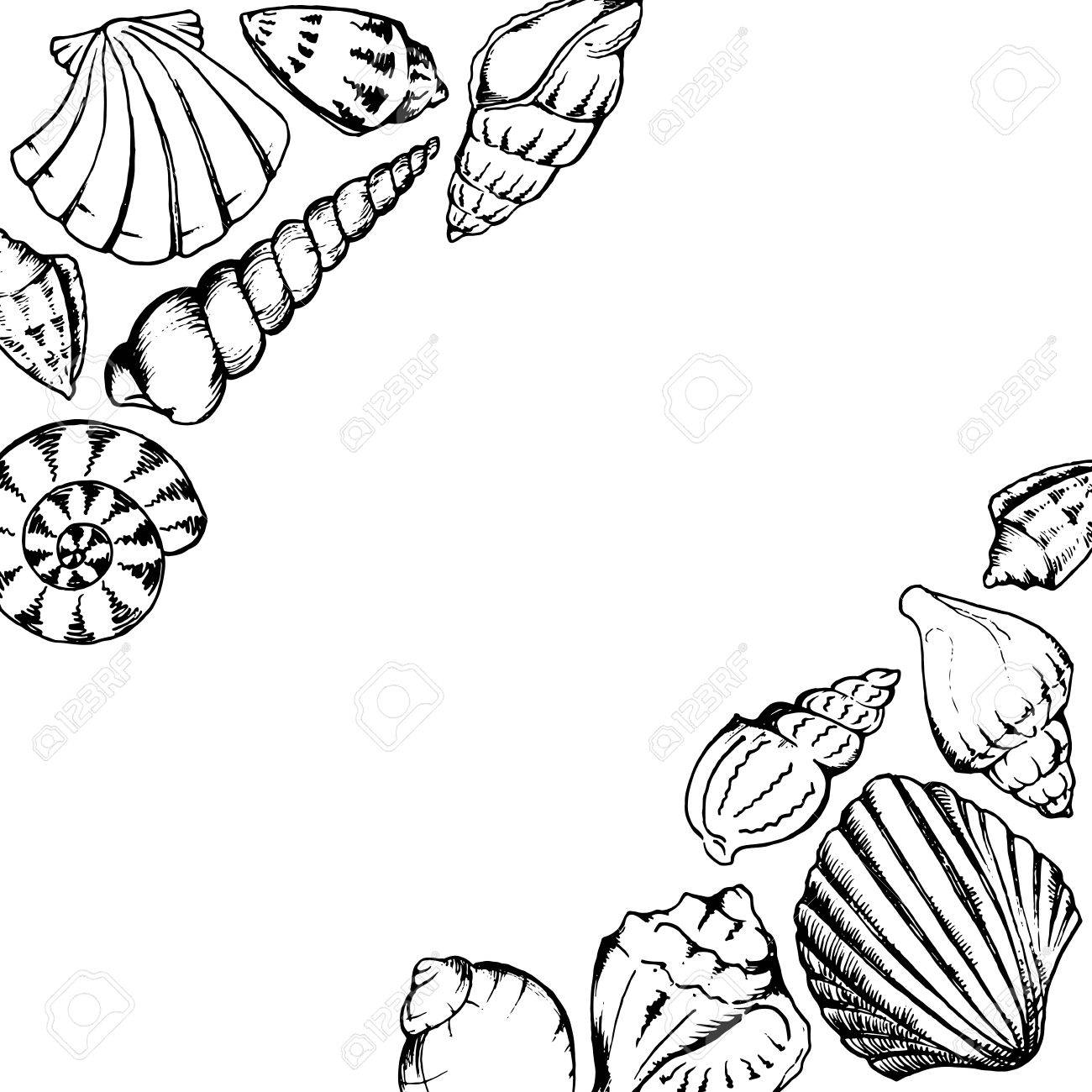 1300x1300 Monochrome Sea Shells Line Art Hand Drawn Frame Vector Isolated
