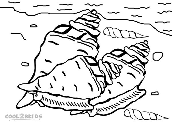 600x436 Printable Seashell Coloring Pages For Kids Cool2bkids