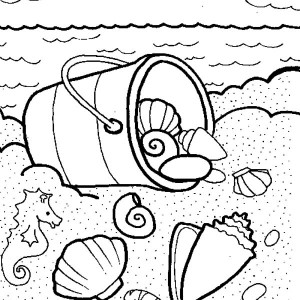 300x300 Sea Shells Coloring Page Free Download