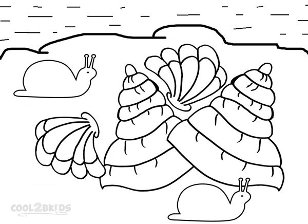 600x436 Printable Seashell Coloring Pages For Kids Cool2bkids