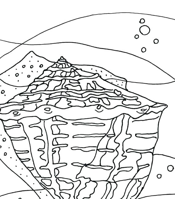 570x646 Sea Shells Coloring Pages Sea Shells Coloring Pages Free Shell