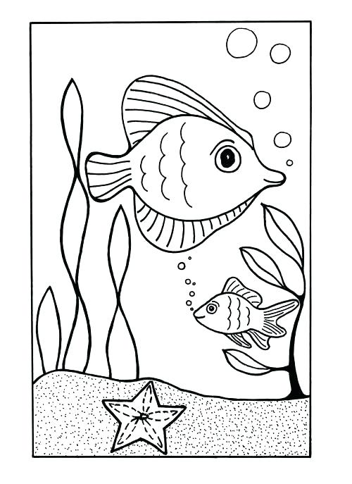 500x687 Sea Shells Coloring Pages Under The Page