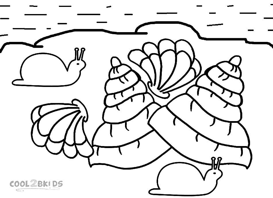 950x690 Seashell Coloring Pages