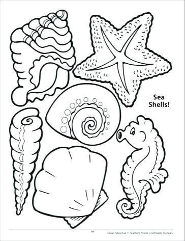 364x473 Shell Coloring Pages Sea Animals Complete Sea Shells Family