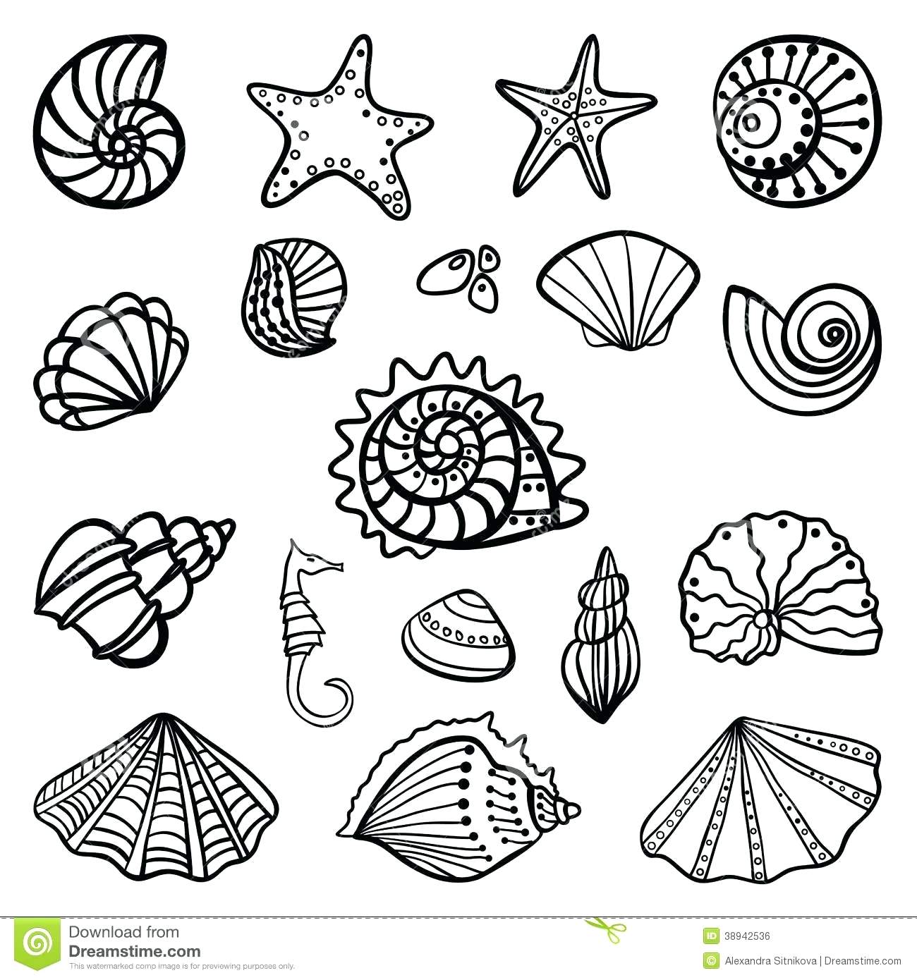 1300x1390 Coloring Sea Shells Coloring Pages
