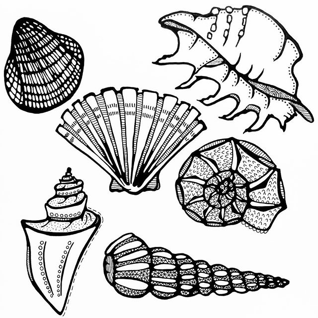 640x640 Day 2631, Subject Sea Shells. Meedeinend Op De Golven