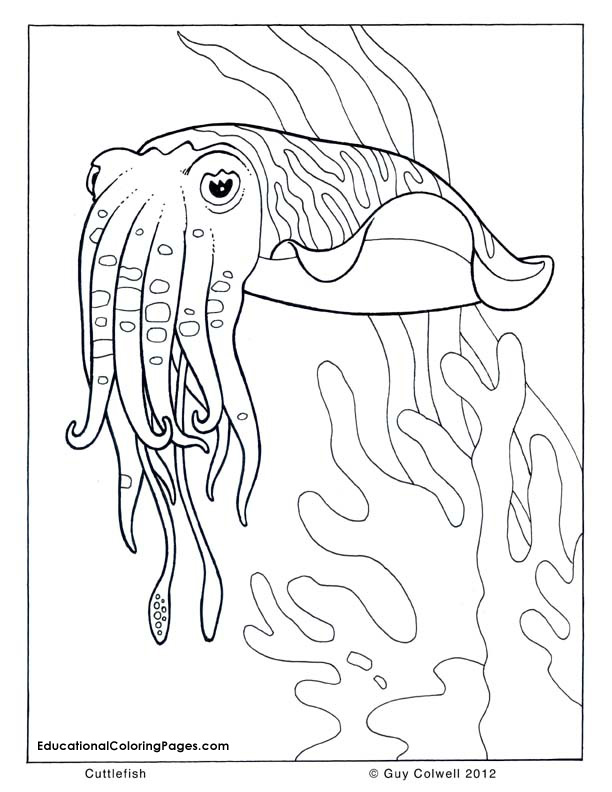 612x792 Not To Mention The Result Coloring Pages For Preschoolers Are