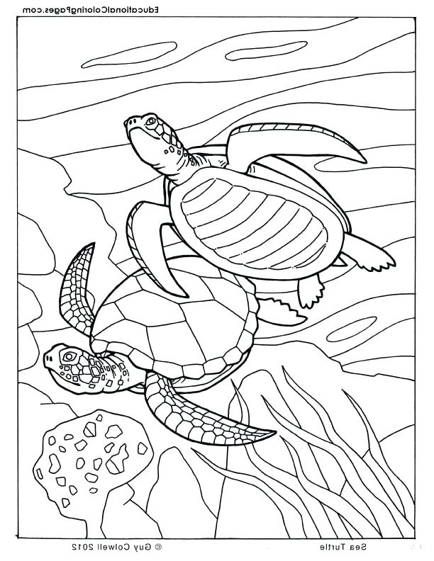 612x792 Printable Ocean Coloring Pages As Free Printable Ocean Coloring