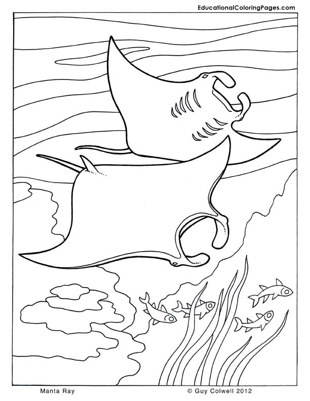 612x792 Sea And Seashore Book One Animal Coloring Pages For Kids