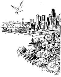 200x252 Seattle Skyline