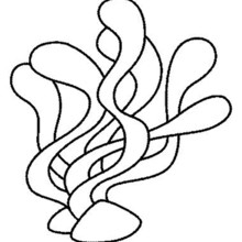 220x220 Seaweeds Coloring Pages