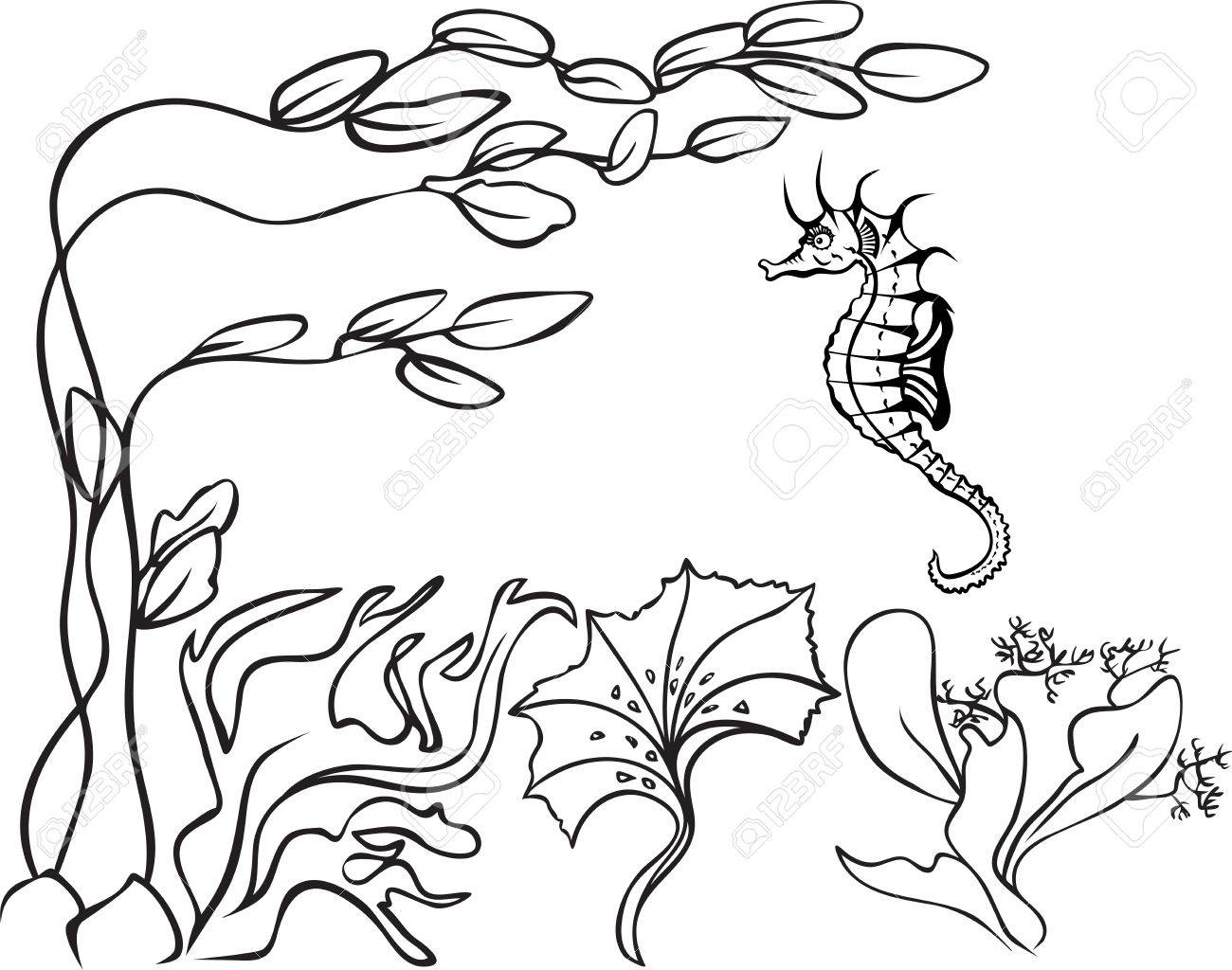 1300x1024 Sketch, Underwater, Seaweed And Sea Horse Royalty Free Cliparts