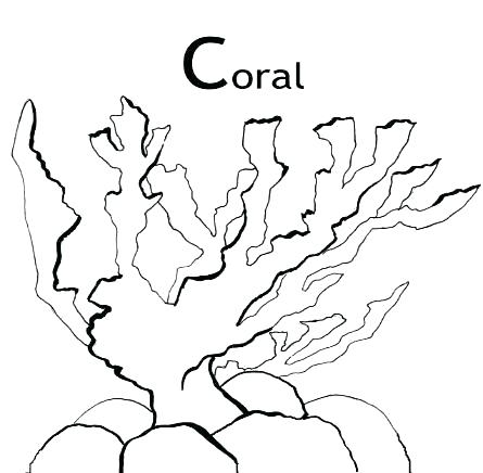 445x436 Seaweed Coloring Pages Nzherald.co