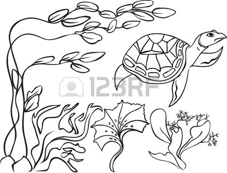 450x342 Sketch, Natatorial Turtle In Underwater World Royalty Free