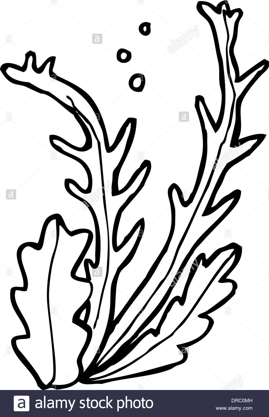 899x1390 Cartoon Seaweed Stock Vector Art Amp Illustration, Vector Image