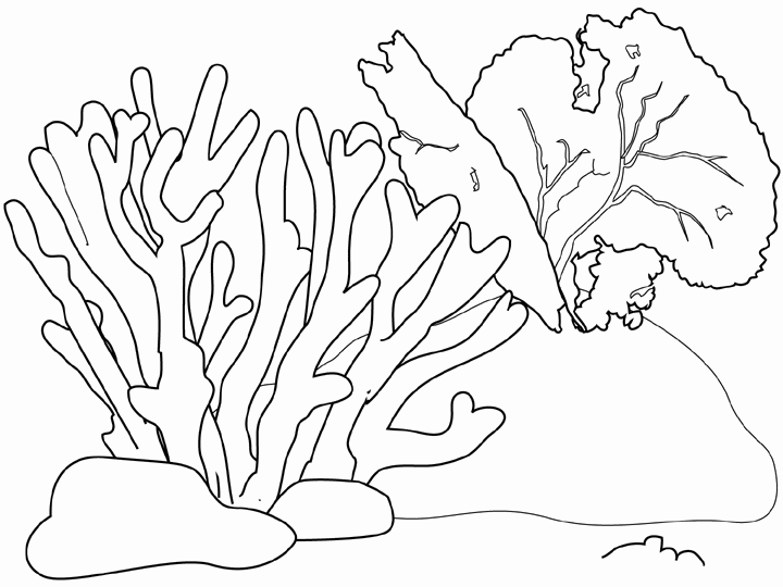 720x540 Seaweed Coloring Pages For Mermaid Bathroom Mural Cottage