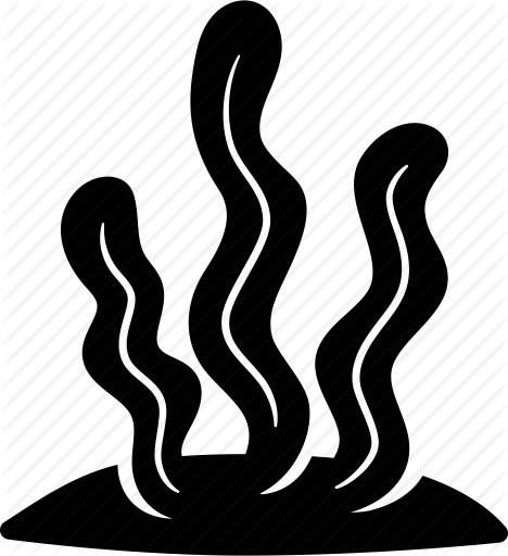 468x512 Alga, Aquarium, Kelp, Sea, Seagrass, Seaweed, Underwater Icon