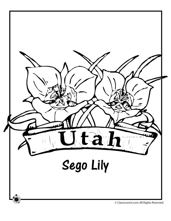680x880 Image Result For Utah Symbols For Second Grade Worksheets Social