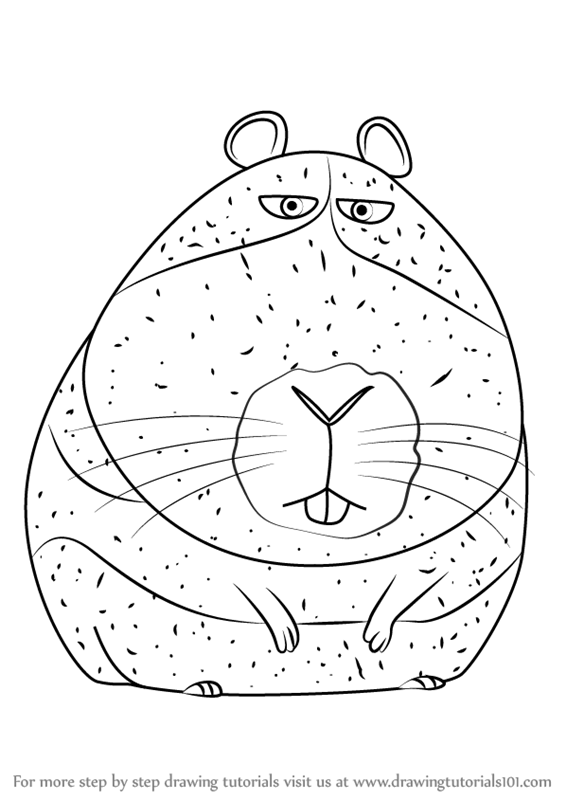 566x800 Learn How To Draw Norman From The Secret Life Of Pets (The Secret