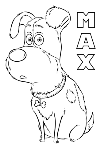 339x480 Max From The Secret Life Of Pets Coloring Page Free Printable