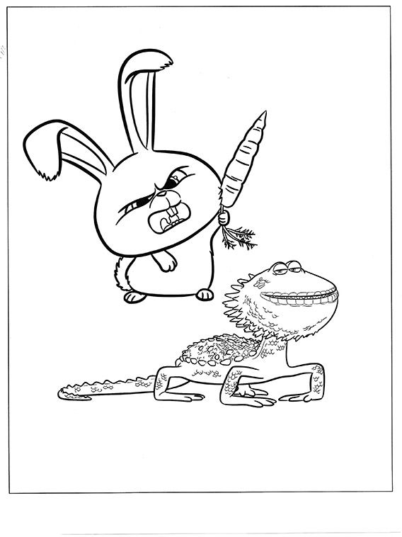 568x758 53 Best Secret Life Pets Images On Secret Life