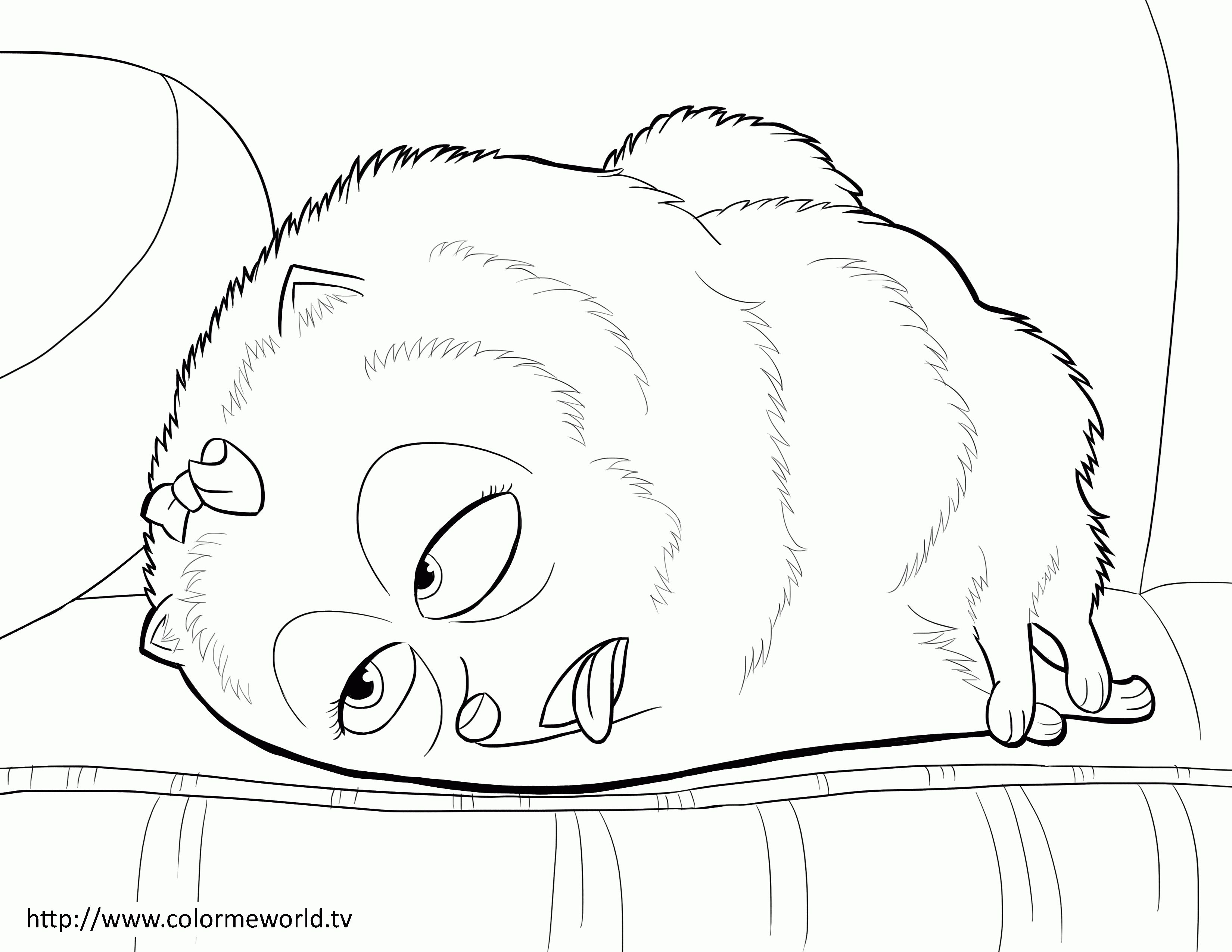 3300x2550 Secret Life Of Pets Coloring Pages