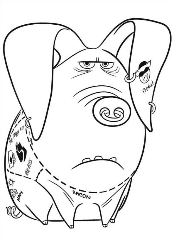 593x832 Tattoo Pig The Secret Life Of Pets Colouring Page