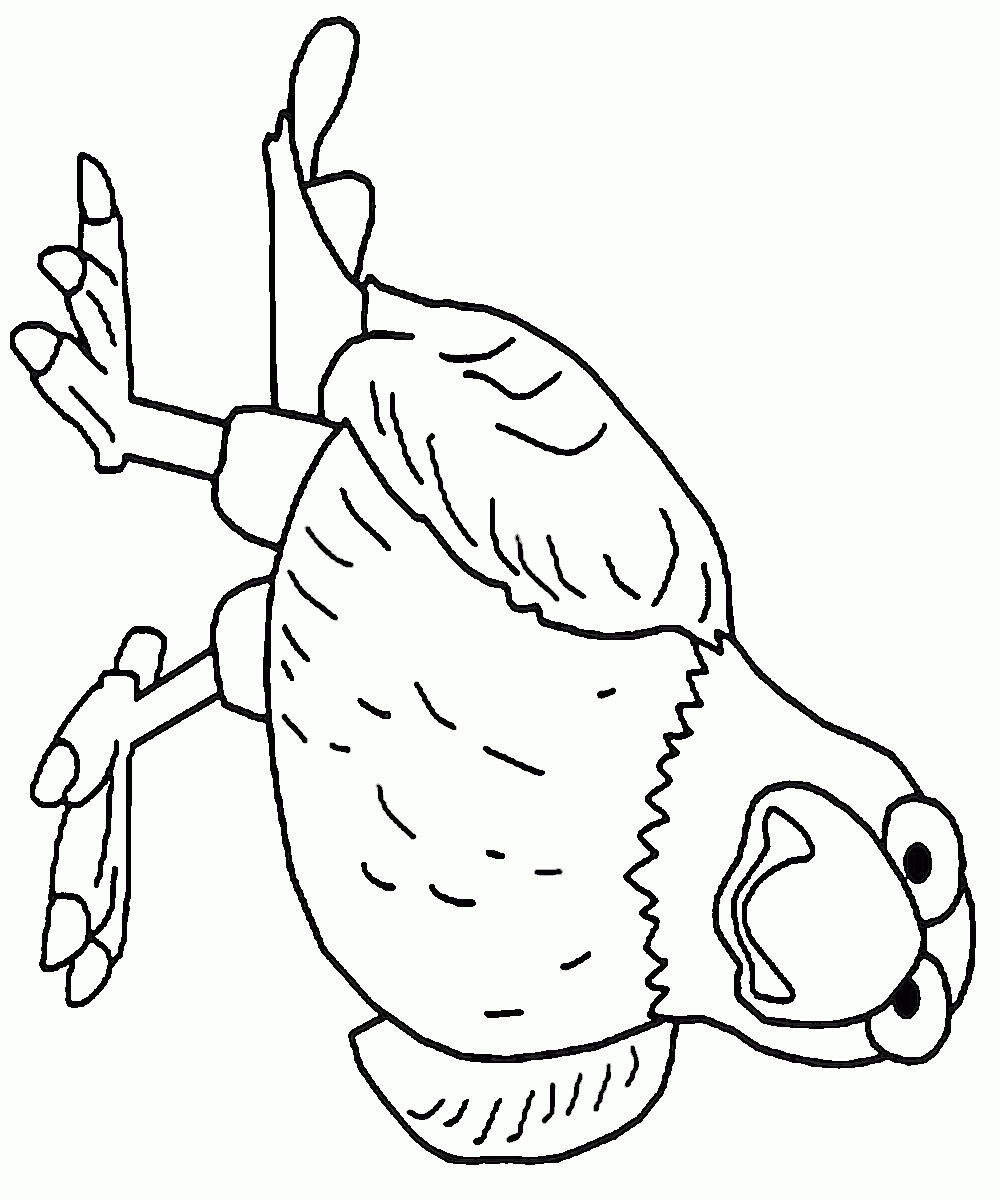 1000x1200 The Secret Life Of Pets Coloring Pages Crocodile Big Hero 6
