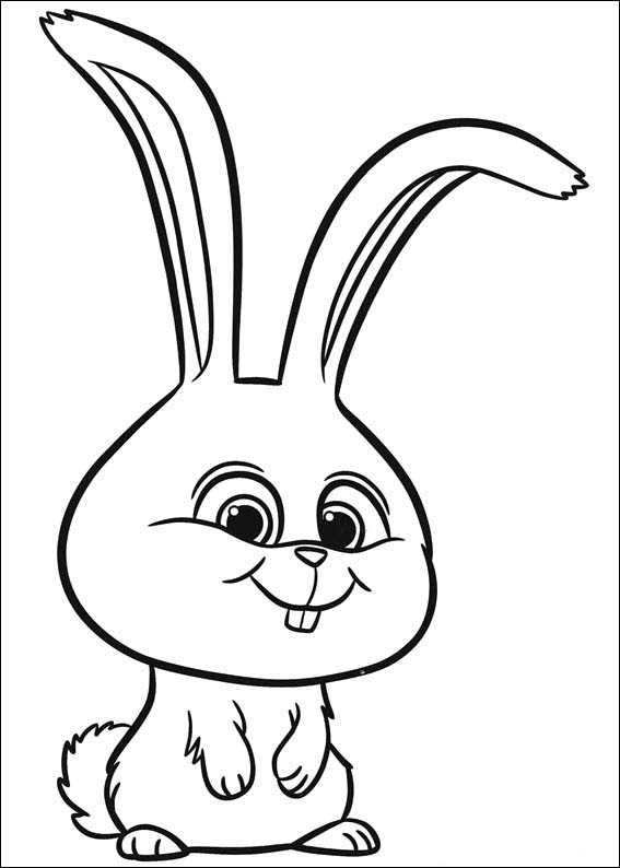 567x794 The Secret Life Of Pets Coloring Pages 36 Scrollsaw