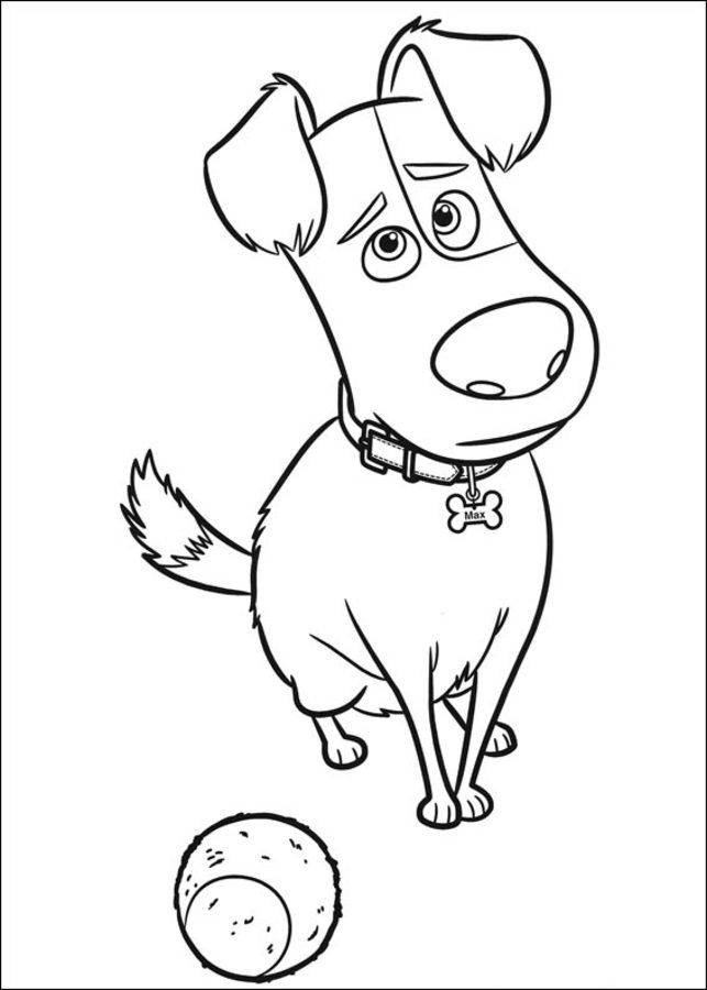 643x900 Coloring Pages The Secret Life Of Pets, Printable For Kids