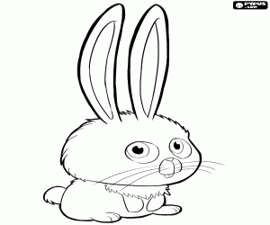 300x250 The Secret Life Of Pets Coloring Pages Printable Games
