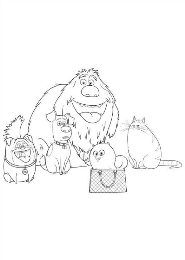 593x832 Kids N 29 Coloring Pages Of Secret Life Of Pets