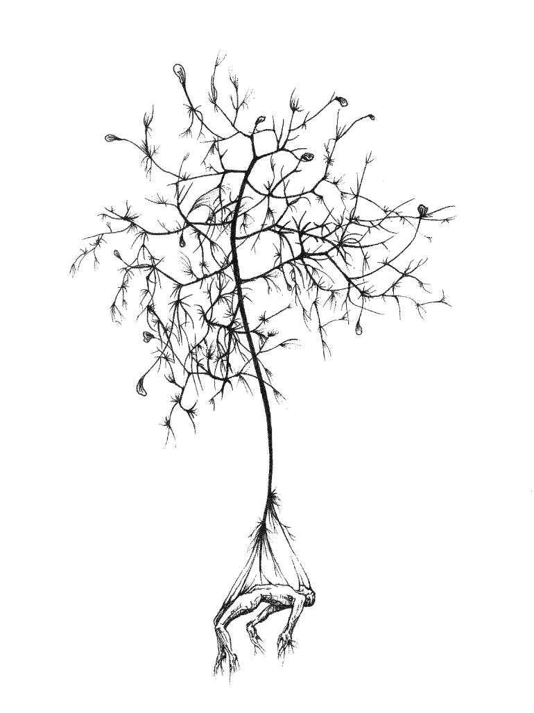 770x1028 Saatchi Art Seed Drawing By Dorothy Zhu