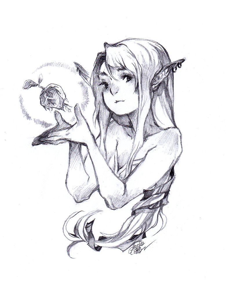 780x1023 Seedling By Glaciesclover