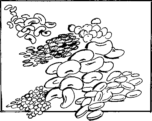 500x399 Food, Water And Family Health A Manual For Community Educators