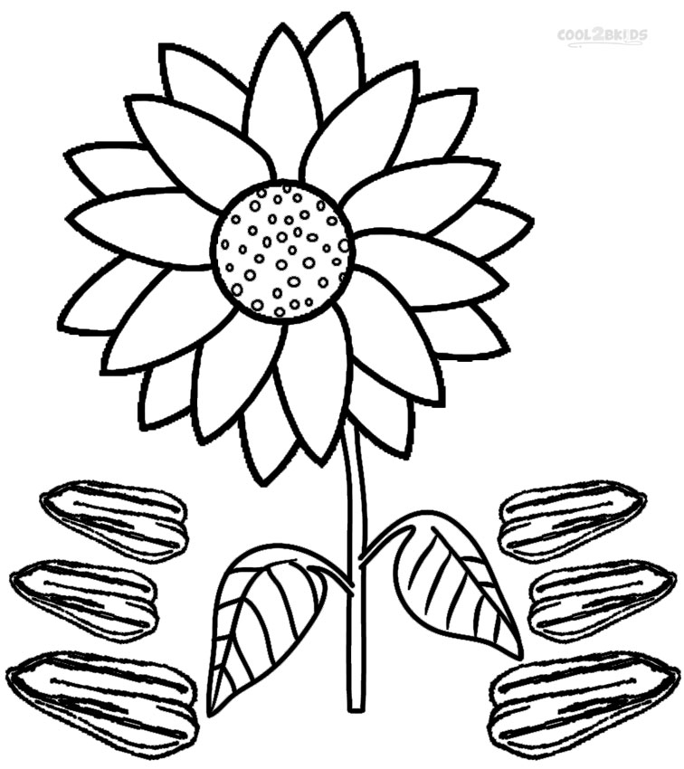 756x850 Printable Sunflower Coloring Pages For Kids Cool2bkids Plant