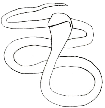 350x360 How To Draw A Snake