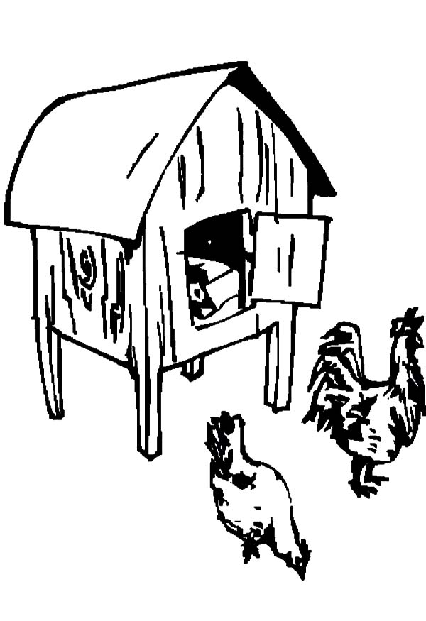 600x875 How To Draw A Chicken Coop Netart 1 Place For Coloring For Kids