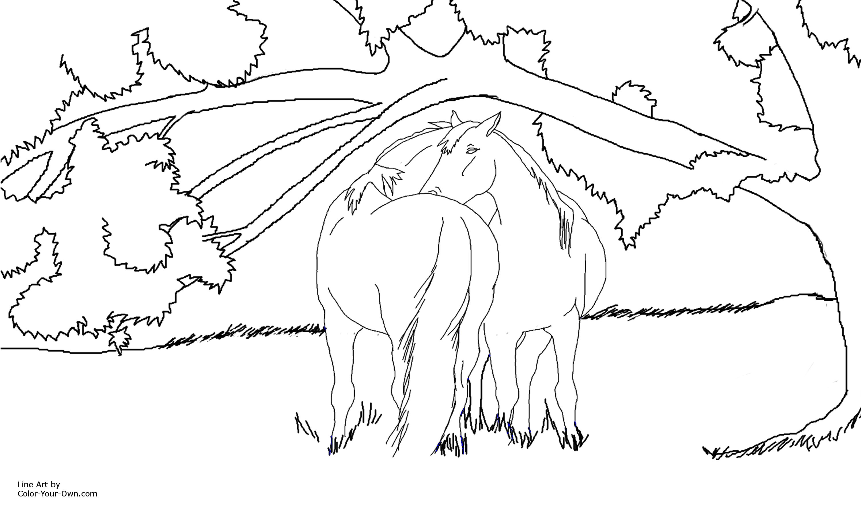 3000x1819 Horses Under A Shade Tree Coloring Page