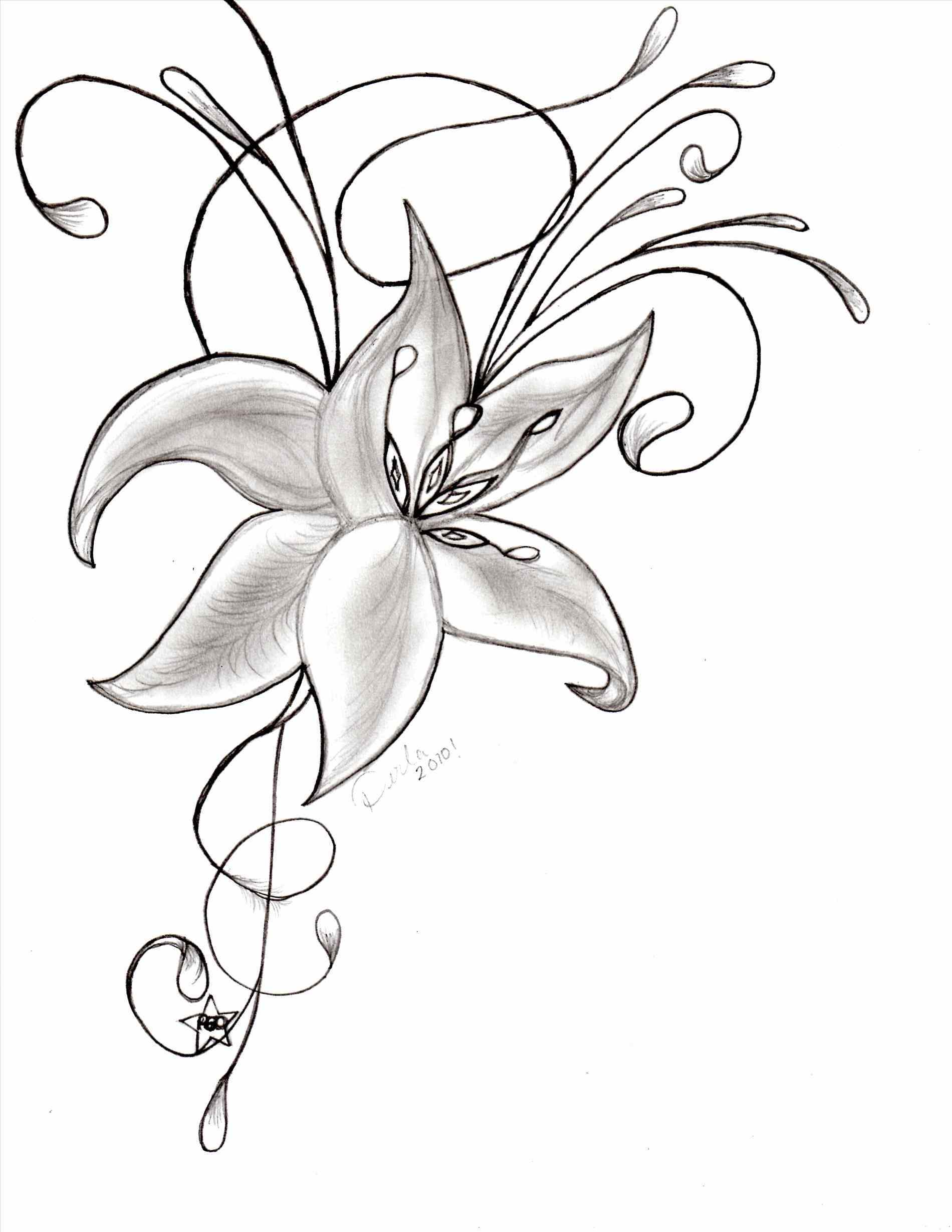 1900x2458 Pencil Beautiful Flowers Drawing Easy S This Is My First Attempt