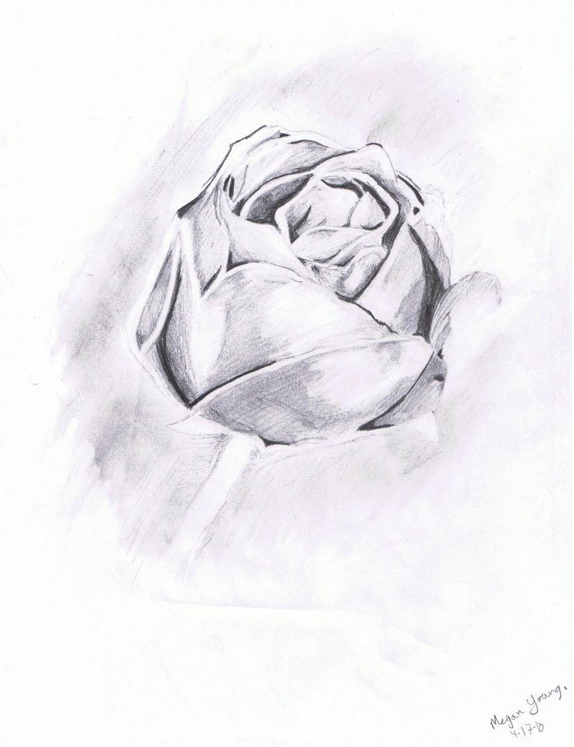 827x1076 Shaded Rose By Megan9987