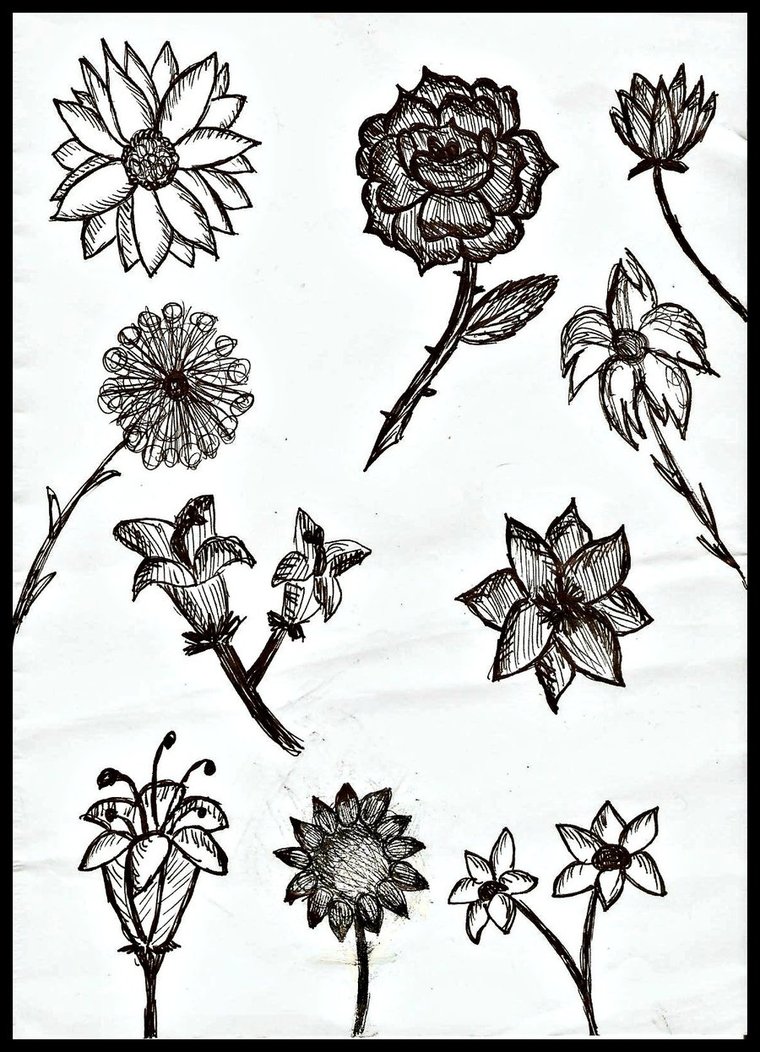 760x1052 Shaded Flowers By Time Is Slow