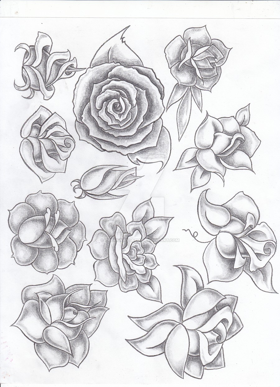 900x1246 Shaded Rose Flash By Theannastazia