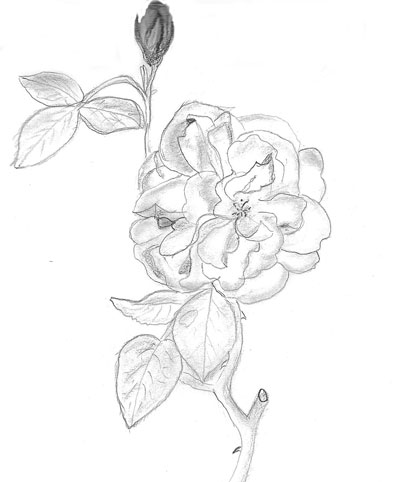 400x482 Drawing Diaries May 2013