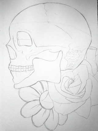 320x427 In Class Today We Were Drawing Parts Of The Skeleton (Purely