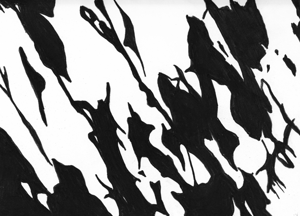 617x445 Light Amp Landscape