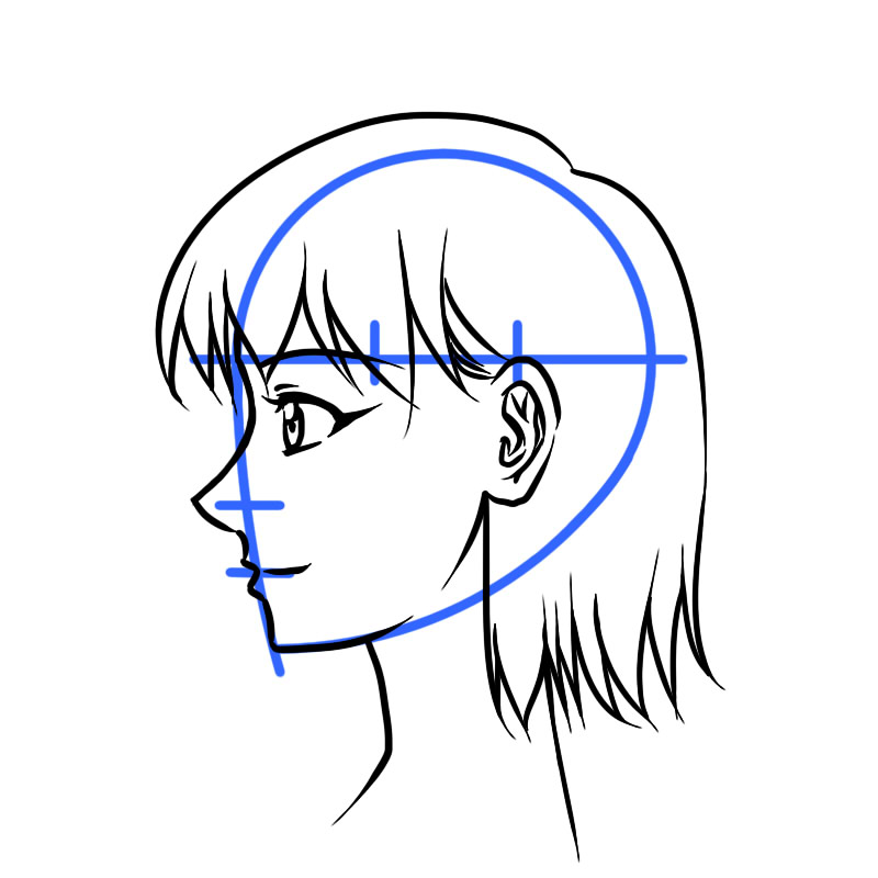 800x800 Drawing A Side View Drawing Drawings, Drawing