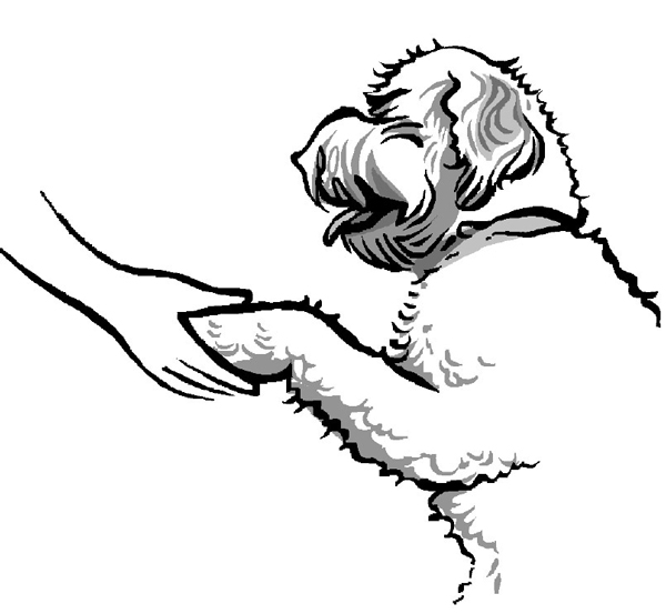 600x553 New Year, New Tricks